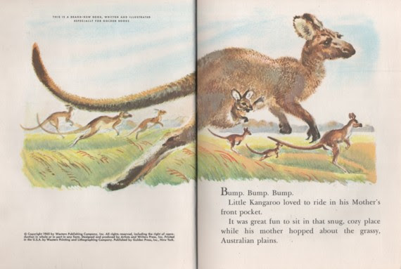 Hopping Kangaroo