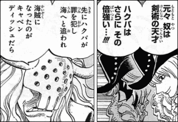 ワンピース キャベンディッシュの 美しき海賊団 ヤマカム