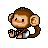 Baby monkey Pictures, Images and Photos