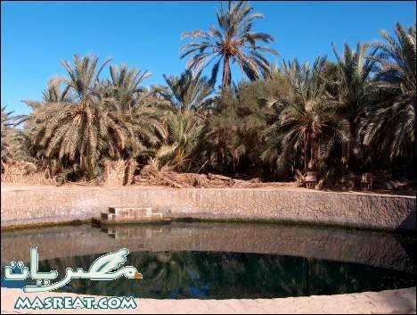 واحة الفرافرة