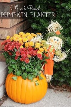 DIY & Crafts