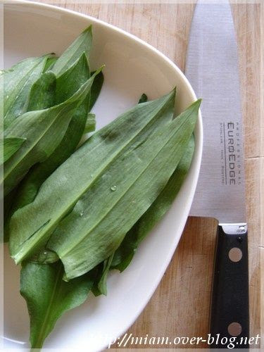 Quelques Recettes Pour Conserver L Ail Des Ours Dans La Cuisine