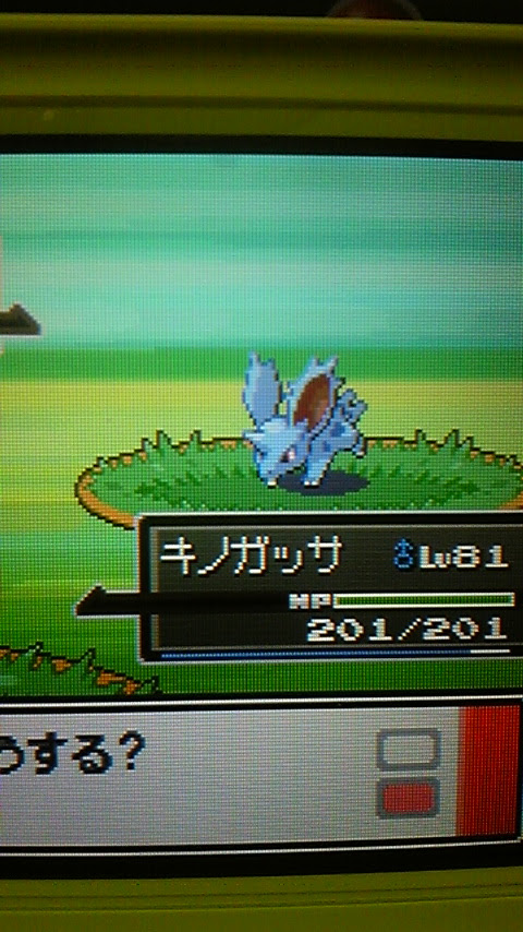 色ニドラン ニドキング 色違いいつ出るんだよ