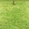 Moose may be a little clumsy but he is trying his best