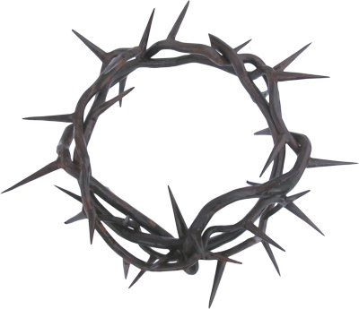 Free Free 205 Crown Of Thorns Svg Free SVG PNG EPS DXF File