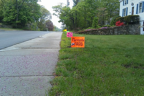 Parmenter 5K - inspirational signs on King St