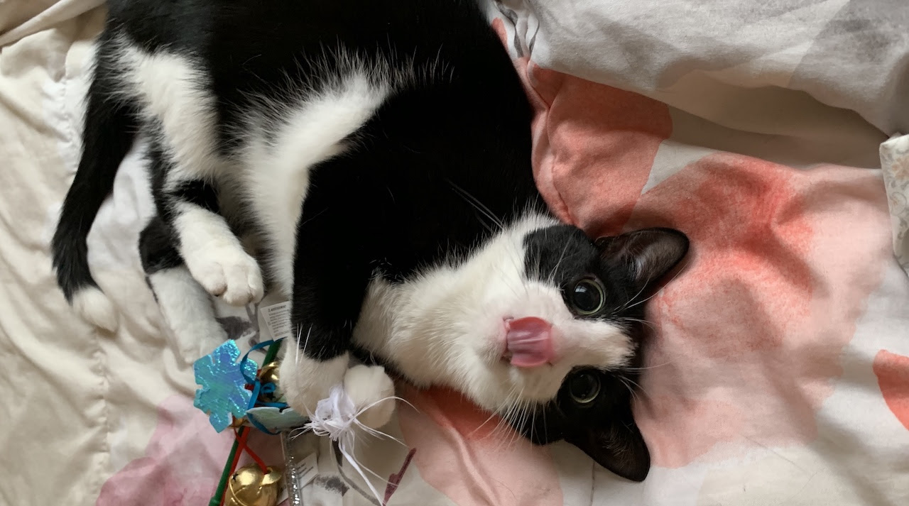 FingerLakes1 com Daily News Entertainment Life in the FingerLakes1 com Daily News Entertainment Life in the