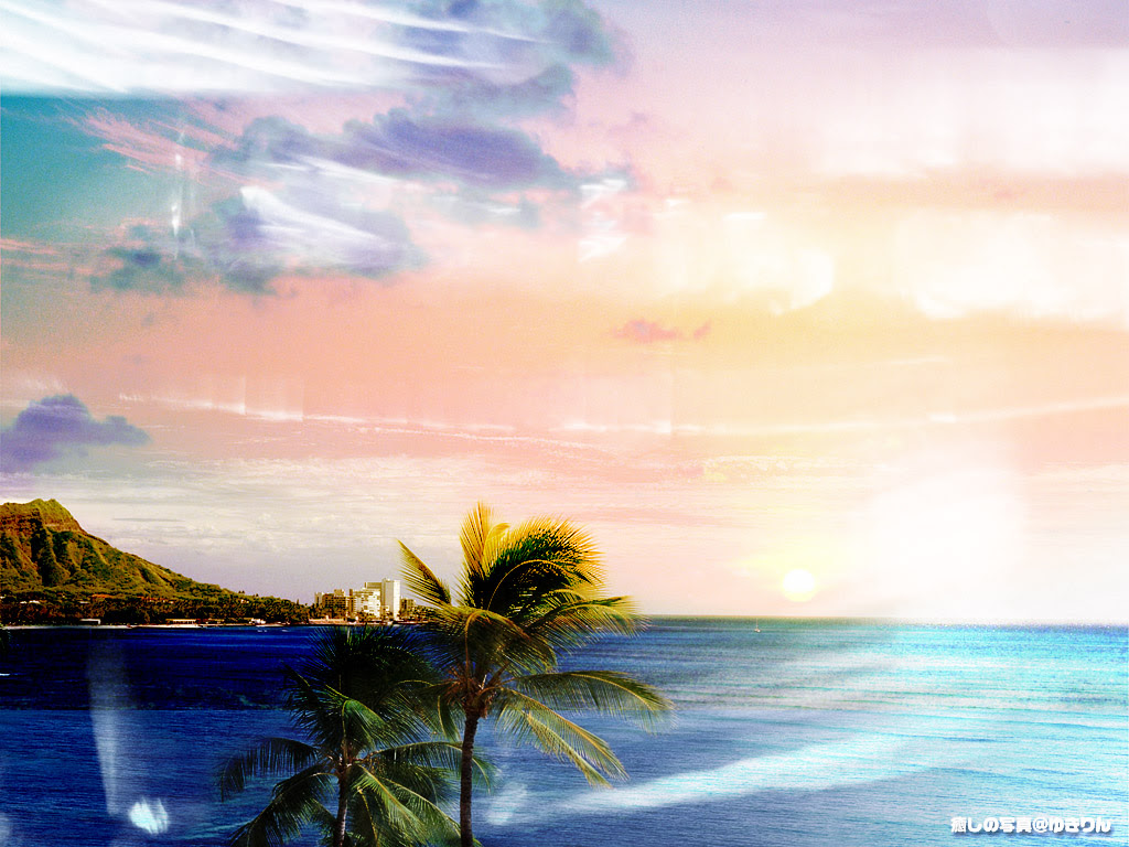 壁紙 風景壁紙 海