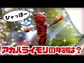 [最新] イモリ の 寿命 169387-イモリの寿命平均
