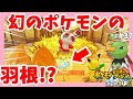 √完了しました！ ポケモ�� 羽根 141238-ポケモン 羽根