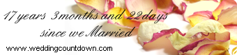 wedding countdown