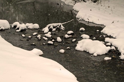February Snow 2