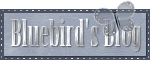 Bluebirds Blog
