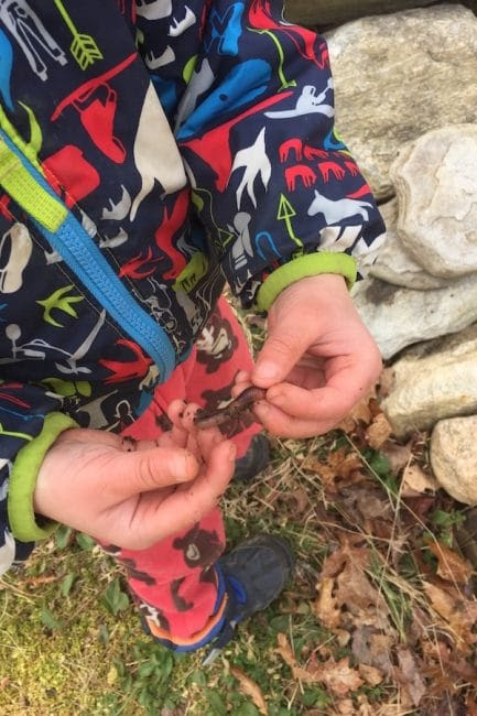 Teach your kids about vermicomposting with worms!