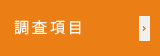 調査項目
