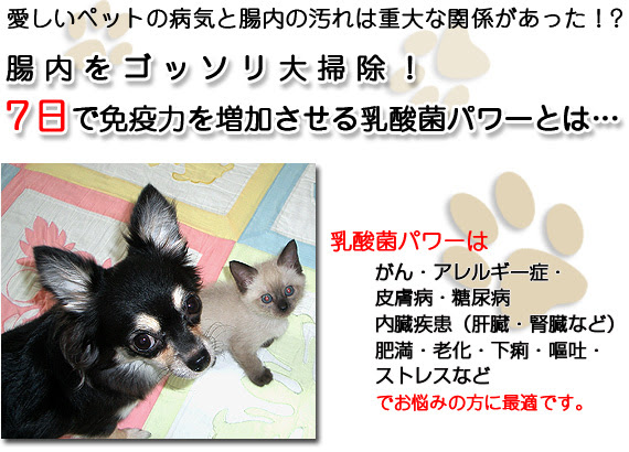 犬の病気 猫の病気 ペットの健康をサポートします