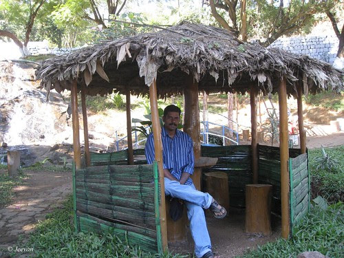 Hut cafe