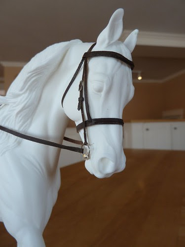 3rd bridle 2