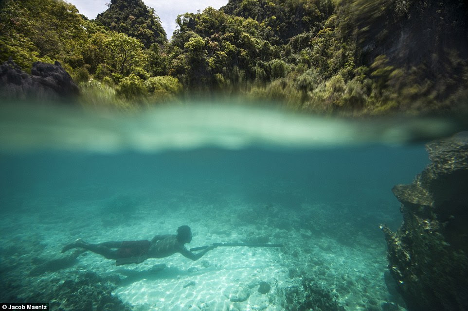 The Tagbanua is one of the oldest ethnic groups in the Philippines and have proved extremely efficient at using what the sea offers them. This picture is one of many that illustrates just how at home they are in the water