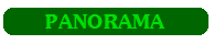 NOTICIAS DEL PANORAMA (sociedad, política, música, farándula,deporte...)