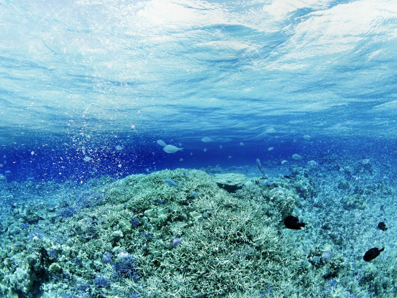 http://25.media.tumblr.com/tumblr_ma0j6wnXxl1qd9e5co1_1280.jpg