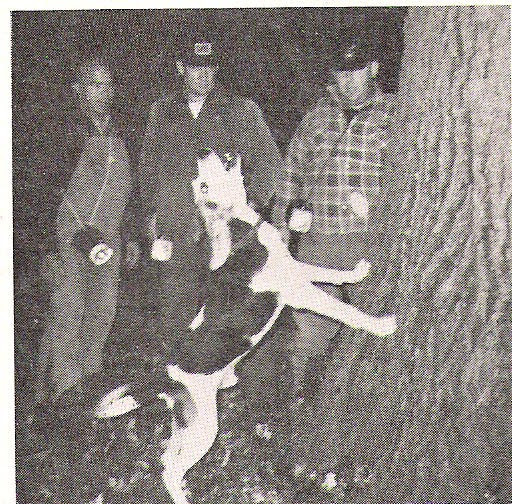 Ukc coon hunts in texas