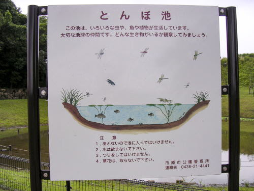 ちはら台の散歩道 Vol 1 0c 水の江公園