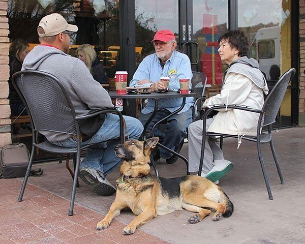 Phoenix &amp; Scottsdale Dog Training Near Me | Dog Trainers
