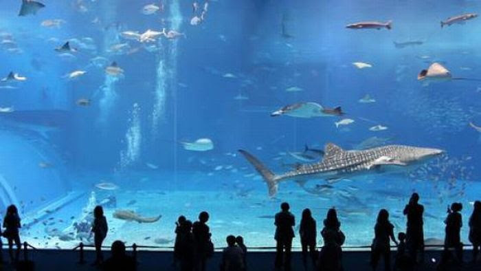 World's Largest Things (34 pics)