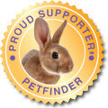 Rabbit Adoption