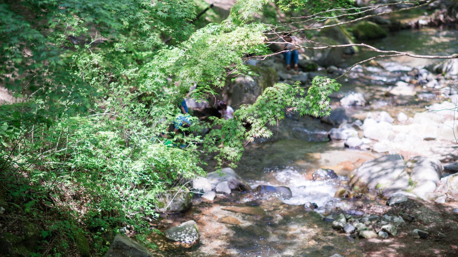 道志村は新宿から車で90分 都心からすぐ行ける最高の自然 Natural High 19年も開催