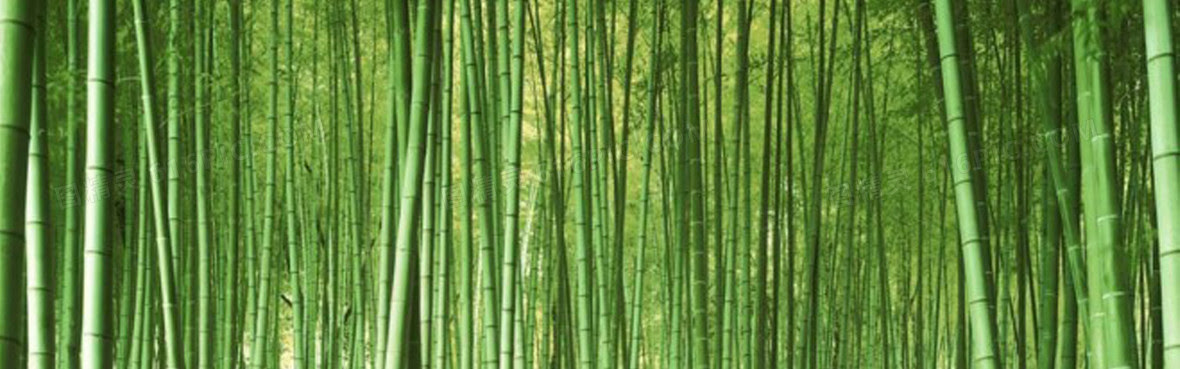 竹林背景图片下载 免费高清竹林背景设计素材 图精灵