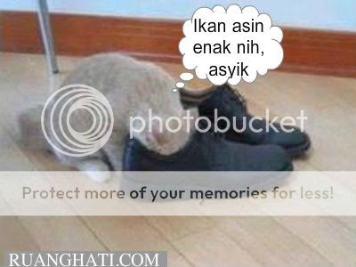 Bau kaki beracun