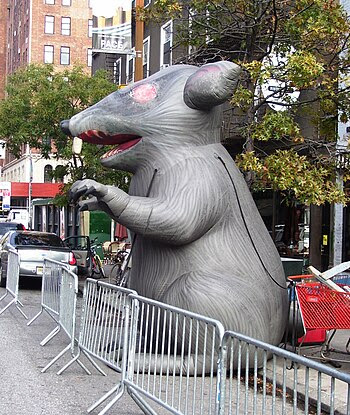 A giant inflatable rat displayed at the site o...