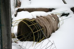 tomato supports in the snow 0228