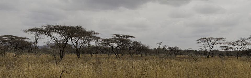 Kruger National Park, South Africa
