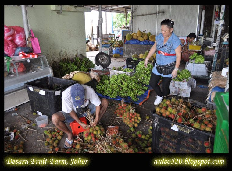  Desaru Fruit Farm