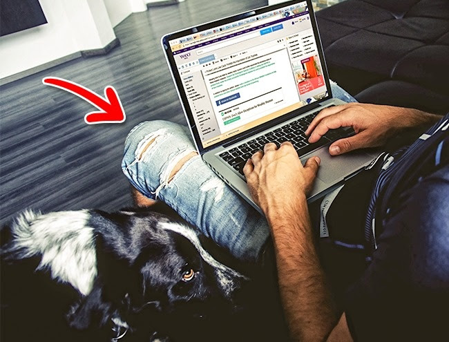 12 việc bạn thường làm khiến laptop bị tàn phá một cách nhanh chóng - Ảnh 6.