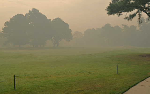 Swamp Smoke (2)