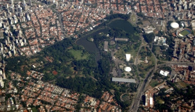 Em uma ano, 183 Parques Ibirapueras foram derrubados na Mata Atlântica. Foto: Wikipédia.