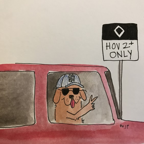 An illustration of a dog wearing a hat driving a car in the HOV lane.