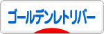 にほんブログ村 犬ブログ ゴールデンレトリバーへ