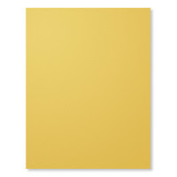 Hello Honey 8-1/2" X 11" Cardstock