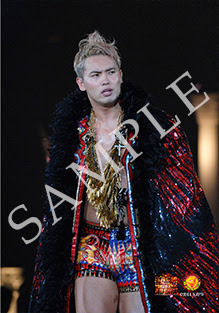 新日本プロレス オフィシャルブロマイド14上半期best 特設サイト