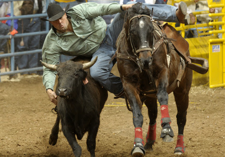 steer wrestling spectacle