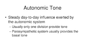 The Definition Of Autonomic Tone Is: