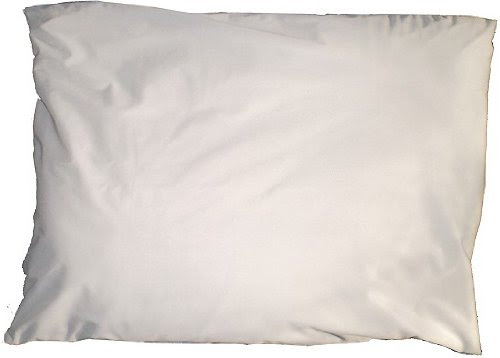 Blue Hill Hypoallergenic, Dust Mite, Waterproof; Standard Size 20