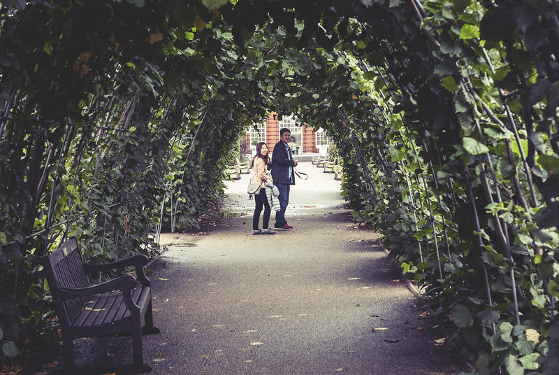 ogród hyde park