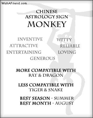 Monkey