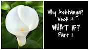 Why Ashtanga? Week 14 - What If? Part 1